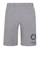 kratke hlače knit | regular fit Calvin Klein Performance 	siva	