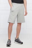 Kratke hlače | Regular Fit Replay 	siva	