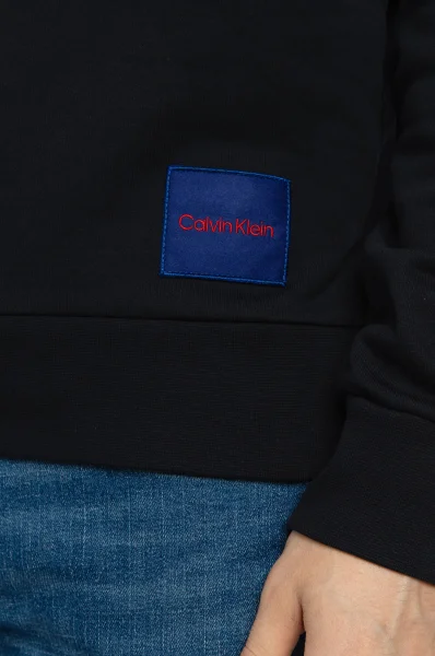 Hanorac | Regular Fit Calvin Klein 	temno modra	