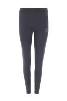 Spodnie dresowe | Regular Fit EA7 	črna	