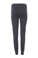Spodnie dresowe | Regular Fit EA7 	črna	