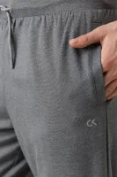 hlače trenirkaowe | relaxed fit Calvin Klein Performance 	siva	