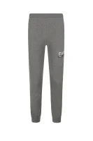 hlače trenirkaowe | regular fit EA7 	siva	