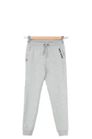 hlače trenirkaowe barney Pepe Jeans London 	siva	
