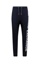 hlače trenirkaowe | regular fit Armani Exchange 	temno modra	